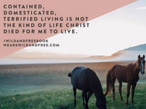 contained, domesticated, terrified living is not the kind of life christ died for me to live.